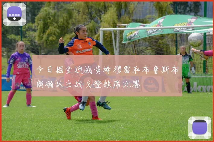 今日掘金迎战黄蜂穆雷和布鲁斯布朗确认出战戈登缺席比赛