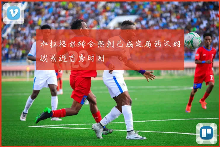 加拉格尔转会热刺已成定局西汉姆战或迎首秀时刻
