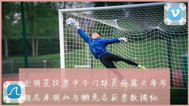全明星投票中冷门球员崭露头角布朗尼库明加与獭兔各获票数揭秘
